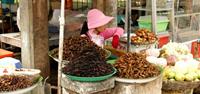 Fried spiders on sale at Skuon market in Cambodia
